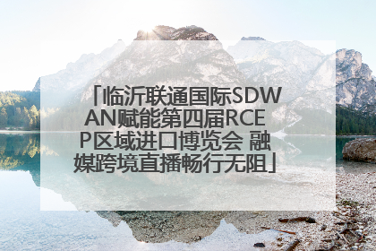 临沂联通国际SDWAN赋能第四届RCEP区域进口博览会 融媒跨境直播畅行无阻