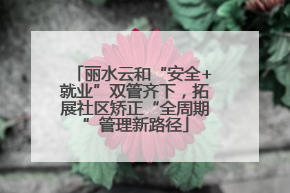 丽水云和“安全+就业”双管齐下，拓展社区矫正“全周期”管理新路径