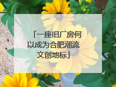 一座旧厂房何以成为合肥潮流文创地标