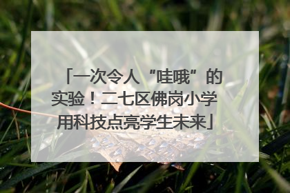 一次令人“哇哦”的实验！二七区佛岗小学用科技点亮学生未来