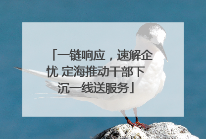 一链响应，速解企忧 定海推动干部下沉一线送服务