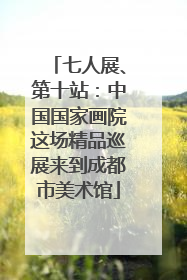 七人展、第十站：中国国家画院这场精品巡展来到成都市美术馆