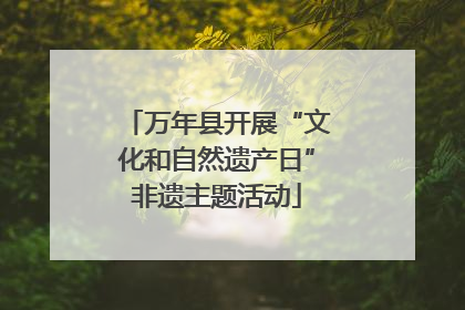 万年县开展“文化和自然遗产日”非遗主题活动