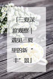 三夏深度观察｜遇见三夏里的新“丰”景