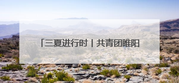 三夏进行时丨共青团睢阳区委暖心慰问助“三夏”