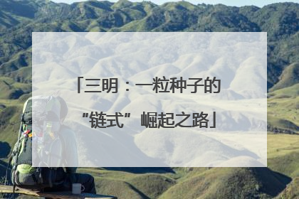三明：一粒种子的“链式”崛起之路