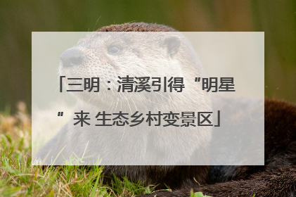 三明：清溪引得“明星”来 生态乡村变景区