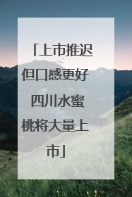 上市推迟但口感更好 四川水蜜桃将大量上市