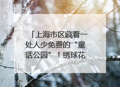 上海市区藏着一处人少免费的“童话公园”！绣球花海、金色秘境……地铁直达→