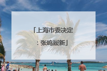 上海市委决定：张鸣履新