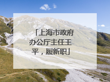 上海市政府办公厅主任王平，履新职