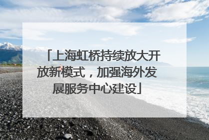 上海虹桥持续放大开放新模式，加强海外发展服务中心建设