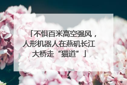 不惧百米高空强风，人形机器人在燕矶长江大桥走“猫道”