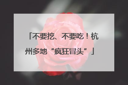 不要挖、不要吃！杭州多地“疯狂冒头”