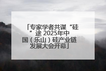 专家学者共谋“硅”途 2025年中国（乐山）硅产业链发展大会开幕