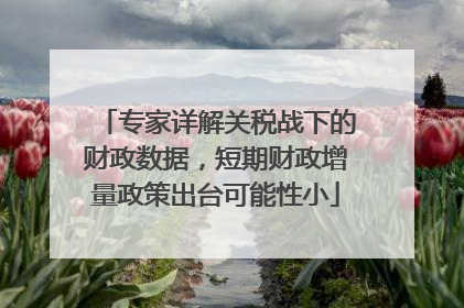 专家详解关税战下的财政数据，短期财政增量政策出台可能性小