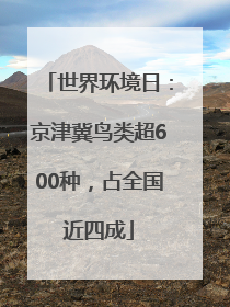 世界环境日：京津冀鸟类超600种，占全国近四成