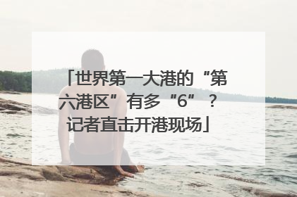 世界第一大港的“第六港区”有多“6”？记者直击开港现场