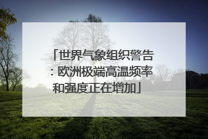 世界气象组织警告：欧洲极端高温频率和强度正在增加