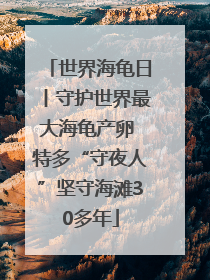 世界海龟日丨守护世界最大海龟产卵 特多“守夜人”坚守海滩30多年