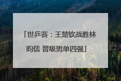 世乒赛：王楚钦战胜林昀儒 晋级男单四强