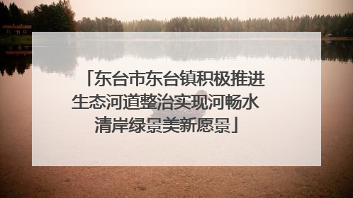 东台市东台镇积极推进生态河道整治实现河畅水清岸绿景美新愿景