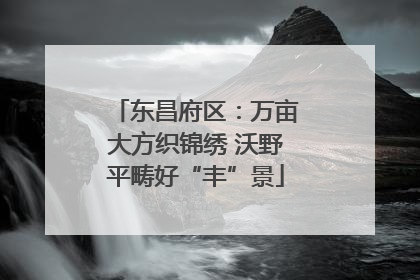 东昌府区：万亩大方织锦绣 沃野平畴好“丰”景