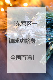 东营区一镇成功跻身全国百强