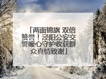 两面锦旗 双倍赞誉！泾阳公安交警暖心守护收获群众真情致谢