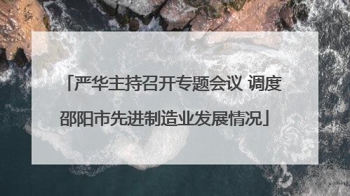 严华主持召开专题会议 调度邵阳市先进制造业发展情况