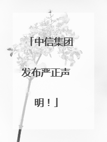 中信集团发布严正声明！