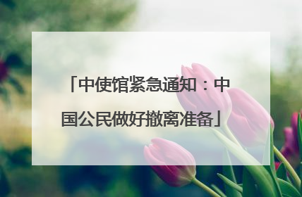 中使馆紧急通知：中国公民做好撤离准备