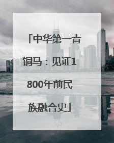 中华第一青铜马：见证1800年前民族融合史