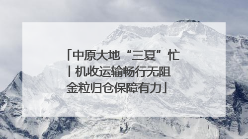 中原大地“三夏”忙丨机收运输畅行无阻 金粒归仓保障有力