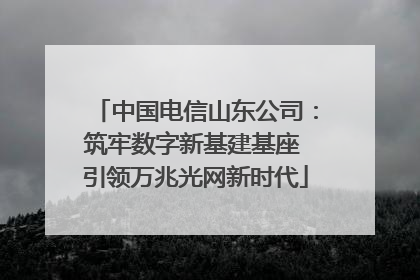 中国电信山东公司：筑牢数字新基建基座 引领万兆光网新时代
