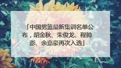 中国男篮最新集训名单公布，胡金秋、朱俊龙、程帅澎、余嘉豪再次入选