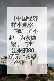 中国经济样本观察·“镇”了不起｜为衣做架，“挂”出来的80亿元“衣架产业”