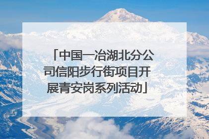 中国一冶湖北分公司信阳步行街项目开展青安岗系列活动
