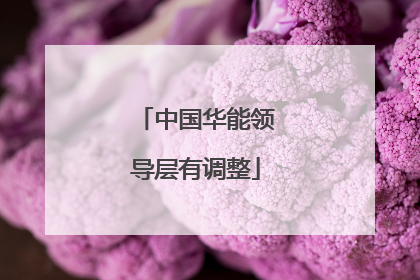 中国华能领导层有调整
