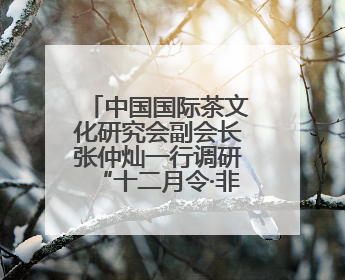 中国国际茶文化研究会副会长张仲灿一行调研“十二月令·非遗茶空间”