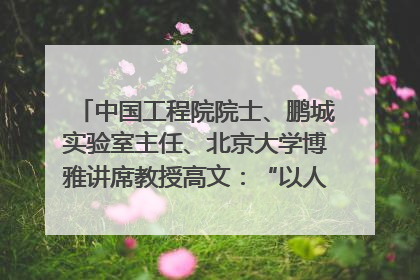 中国工程院院士、鹏城实验室主任、北京大学博雅讲席教授高文：“以人为本 智能向善” 推动文化与科技相生相促｜聚焦2025文化强国建设高峰论坛