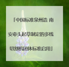 中国标准泉州造 南安牵头起草制定的多线切割机团体标准启用