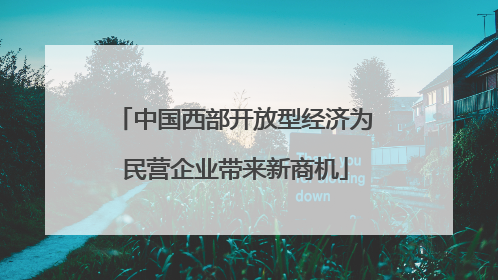 中国西部开放型经济为民营企业带来新商机