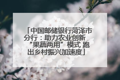 中国邮储银行菏泽市分行：助力农业创新 “果蔬两用”模式 跑出乡村振兴加速度