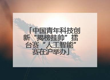 中国青年科技创新“揭榜挂帅”擂台赛“人工智能”赛在沪举办