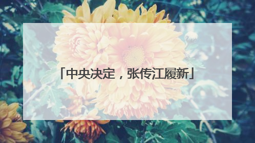中央决定，张传江履新