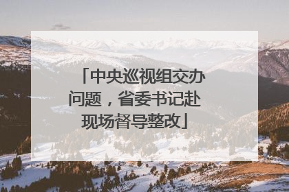 中央巡视组交办问题，省委书记赴现场督导整改