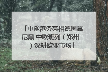 中豫港务亮相德国慕尼黑 中欧班列（郑州）深耕欧亚市场