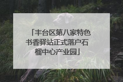 丰台区第八家特色书香驿站正式落户石榴中心产业园
