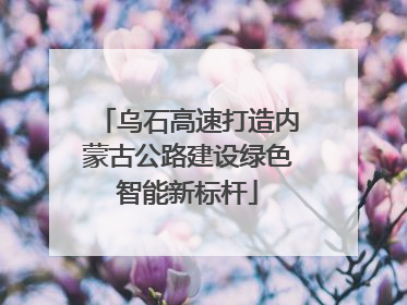 乌石高速打造内蒙古公路建设绿色智能新标杆